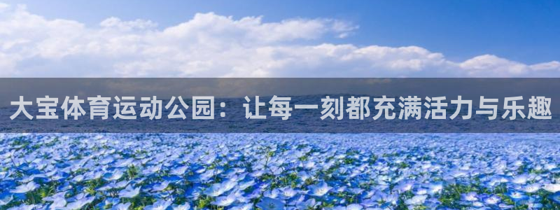 大宝体育运动公园：让每一刻都充满活力与乐趣