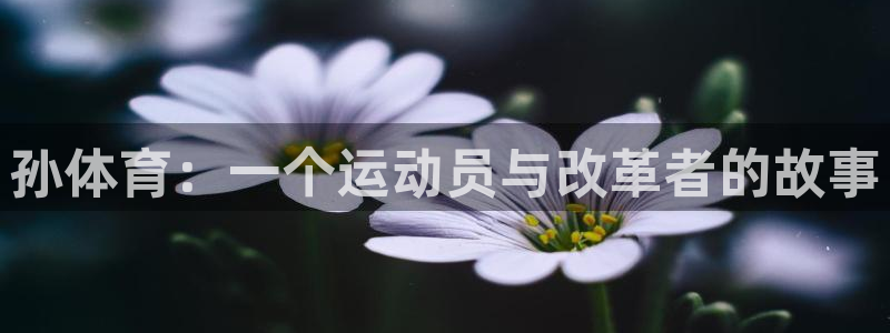 孙体育：一个运动员与改革者的故事