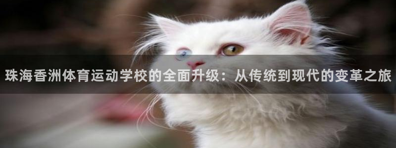 珠海香洲体育运动学校的全面升级：从传统到现代的变革之旅