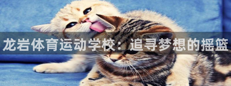 龙岩体育运动学校：追寻梦想的摇篮
