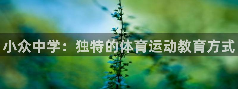 小众中学：独特的体育运动教育方式