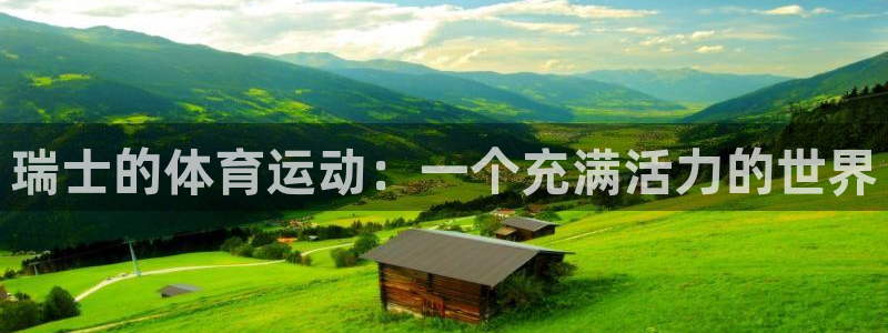 瑞士的体育运动：一个充满活力的世界