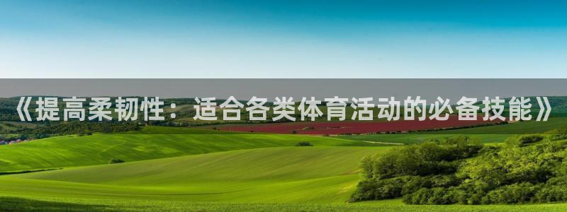 《提高柔韧性：适合各类体育活动的必备技能》