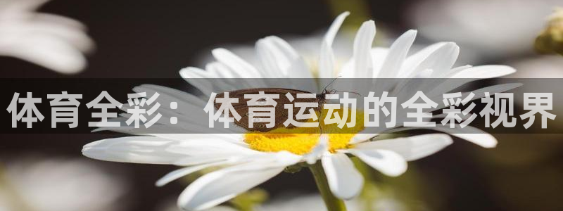 体育全彩：体育运动的全彩视界