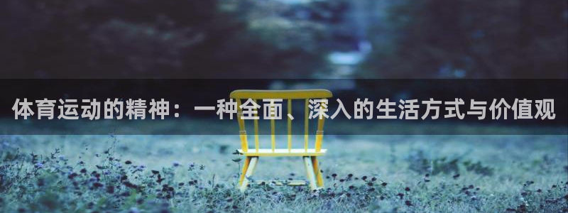 体育运动的精神：一种全面、深入的生活方式与价值观
