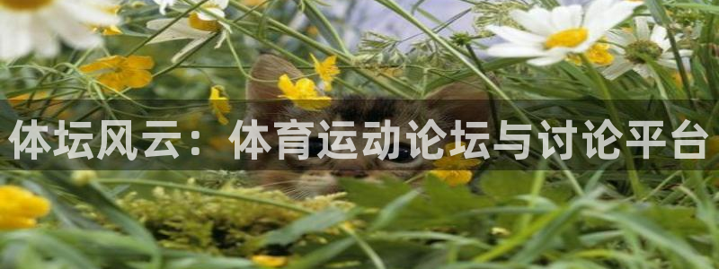 体坛风云：体育运动论坛与讨论平台