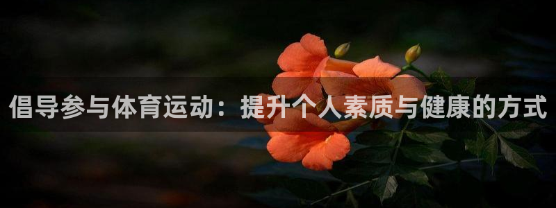 倡导参与体育运动：提升个人素质与健康的方式